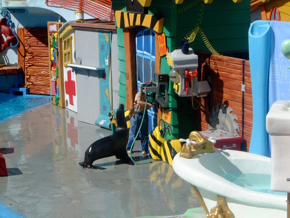 With an ALL-NEW Sea Lion & Otter - SeaWorld San Antonio